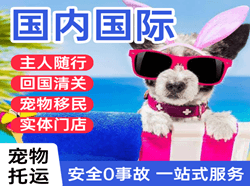 福州长乐机场托运国际宠物托运 【国